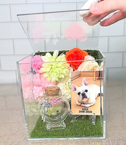 Opening the top lid of a clear acrylic pet remembrance box to reveal a custom memorial photo and a small fur keepsake.