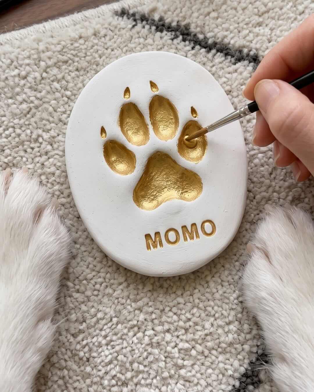 Pet Paw Print Kit for Dogs & Cats – DIY Clay Keepsake Set