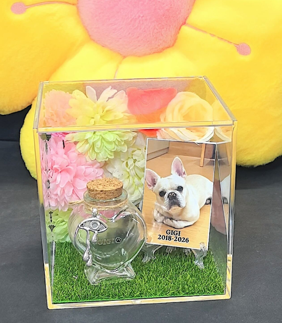 Clear acrylic 3D pet memorial shadow box with an easy-open top for adding a small personal keepsake.