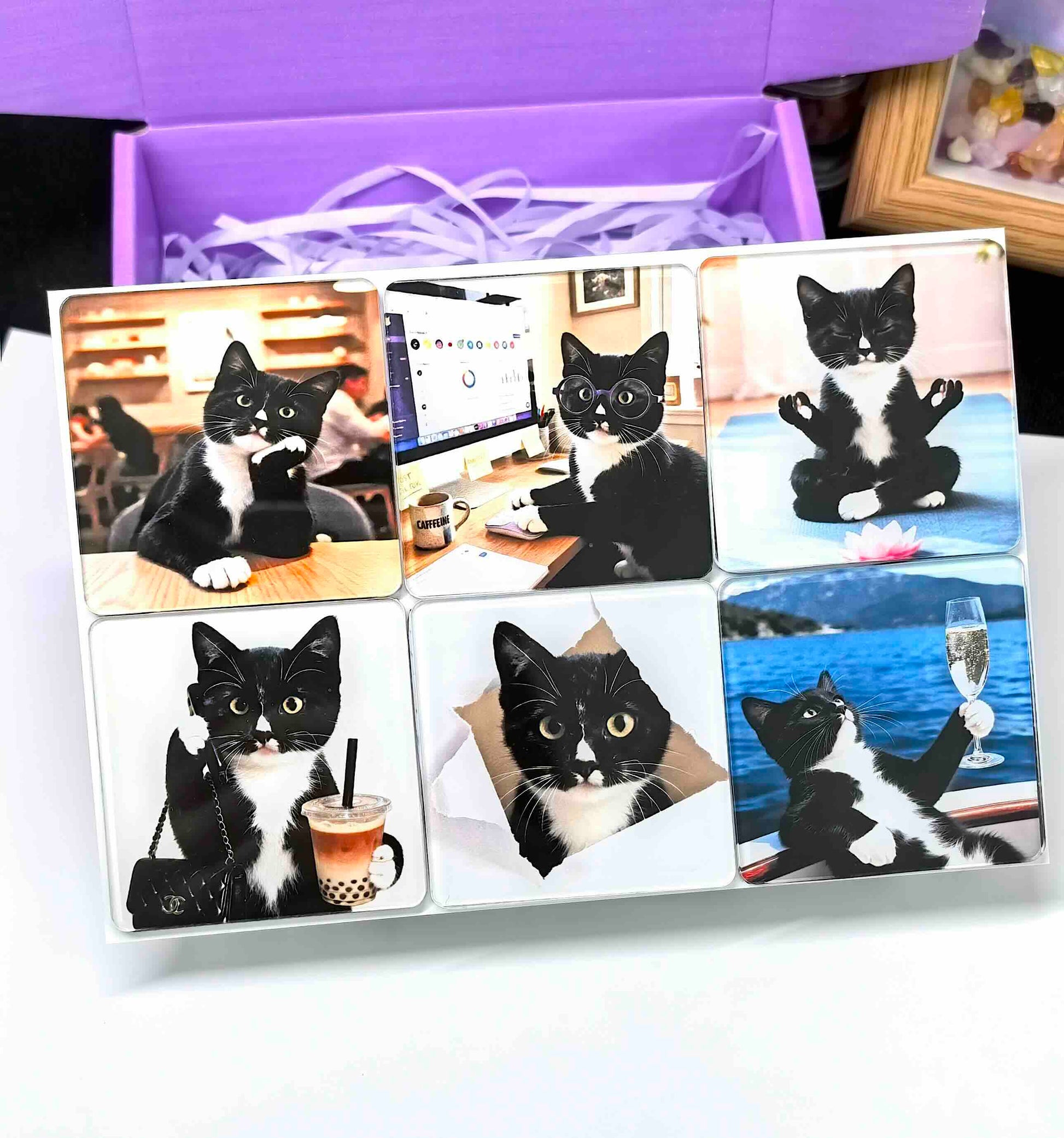 Ins style minimalist fridge decor featuring cute AI pet magnets. A blind box surprise experience for pet lovers who want unique home accessories.