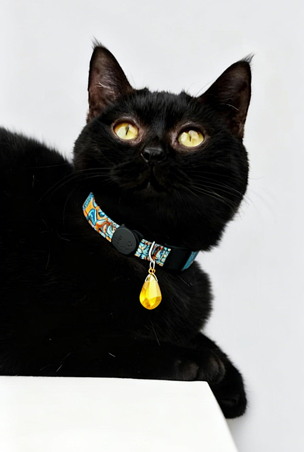 Yellow Crystal Pet Collar – Adjustable Polyester Safety-Release Collar w/ Natural Citrine Charm