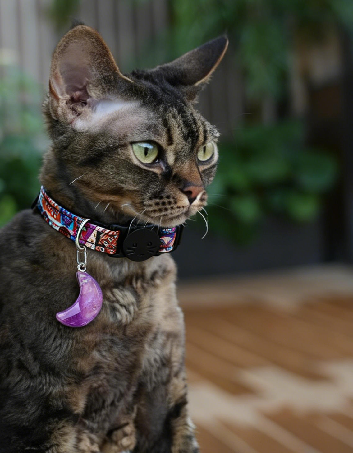 Natural Amethyst Moon Cat Collar with Safety Breakaway Buckle - Calming Crystal Pet Charm - Boho Purple Aesthetic (Adjustable)