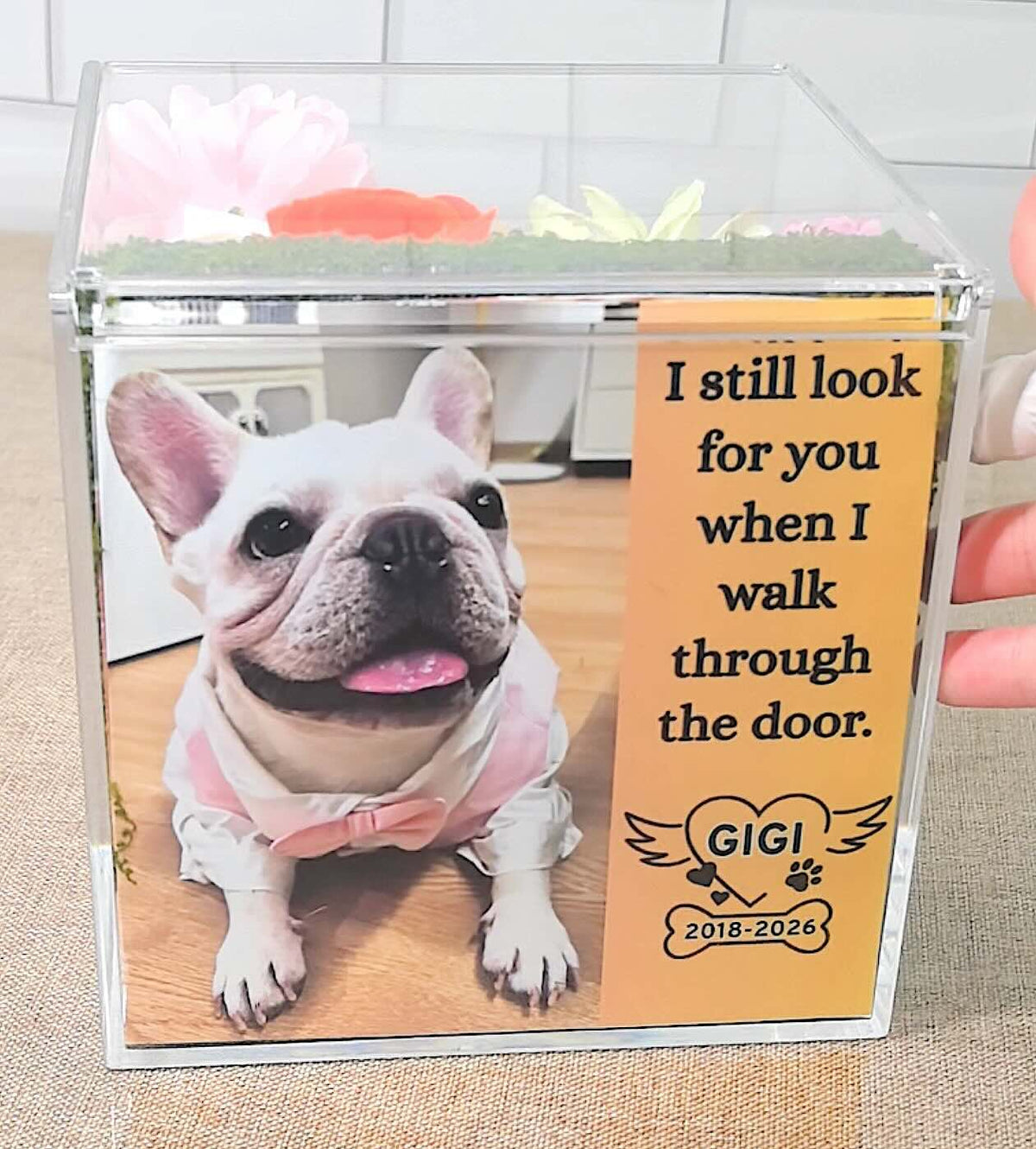 Personalized pet memorial shadow box featuring a custom French Bulldog photo, pet name, and a heartfelt remembrance quote.