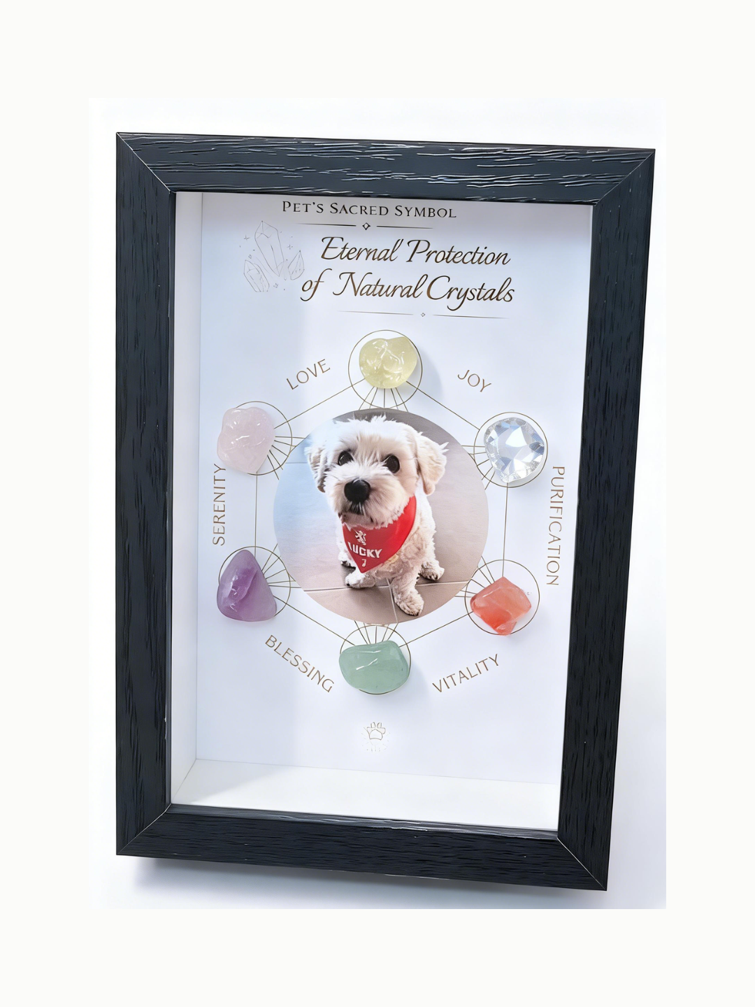 A sacred pet crystal grid photo frame featuring natural Amethyst, Rose Quartz, and Citrine to provide spiritual protection and positive healing energy for your furry friend.