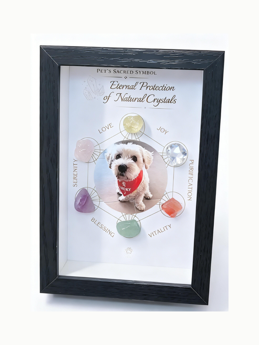 A sacred pet crystal grid photo frame featuring natural Amethyst, Rose Quartz, and Citrine to provide spiritual protection and positive healing energy for your furry friend.
