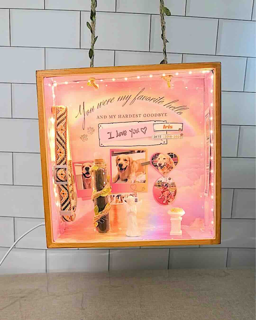 Close-up of the rainbow bridge pet memorial shadow box glowing with LED lights, creating a peaceful and comforting tribute for a lost cat or dog.