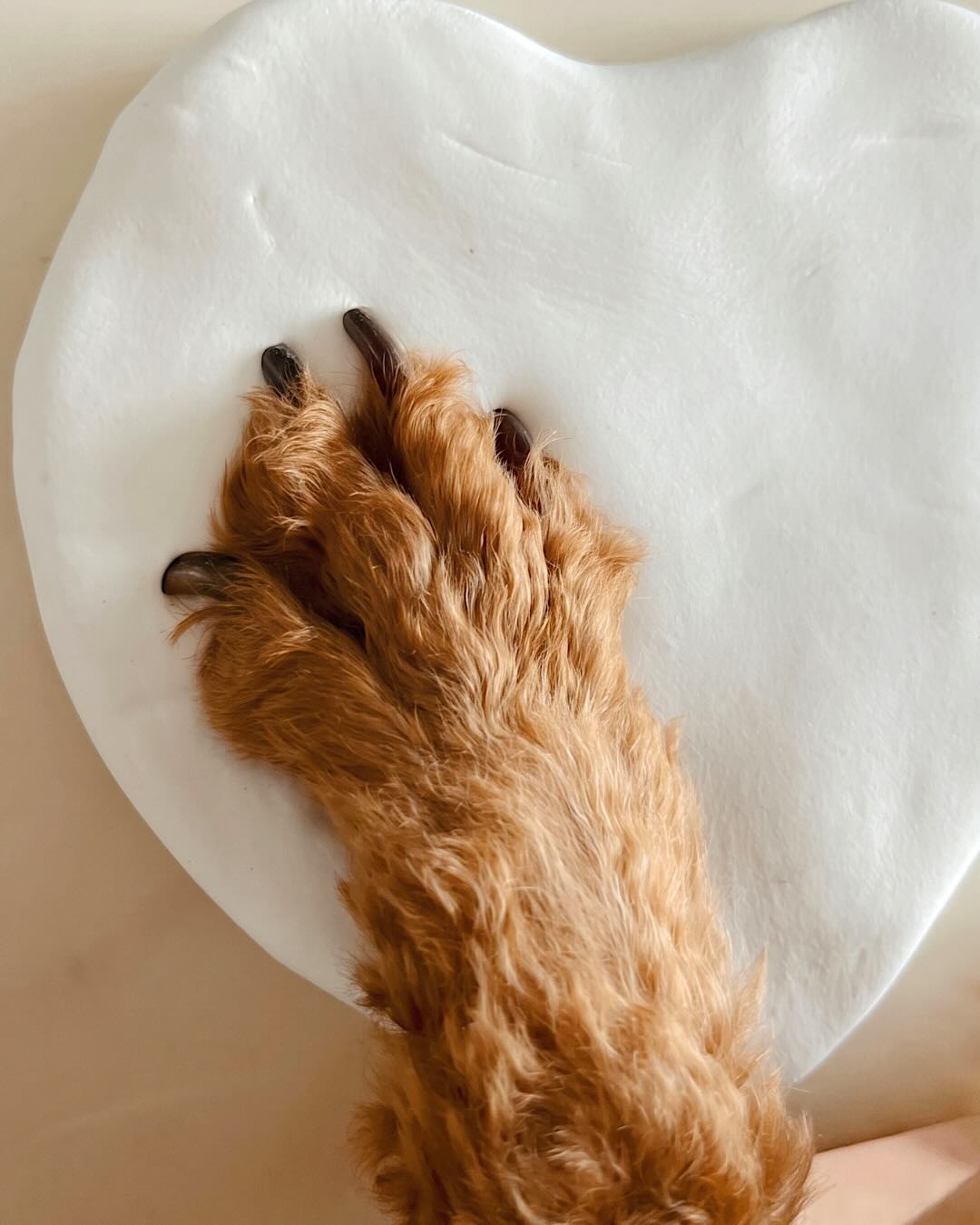 Pet Paw Print Kit for Dogs & Cats – DIY Clay Keepsake Set